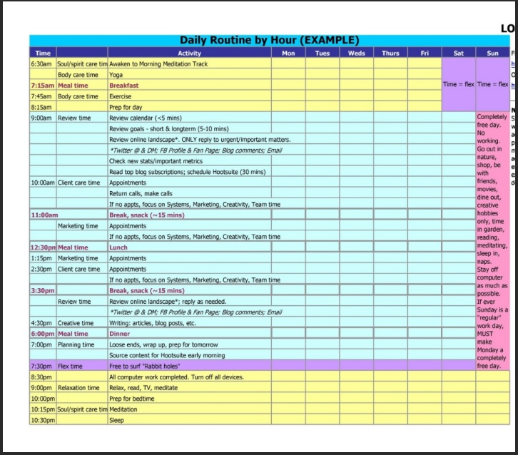 Daily Hourly Schedule Template